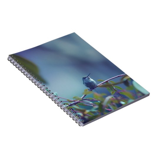 Carnet Colibri 5738 (Côté Droit)