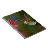 Carnet Colibri à gorge rubis mâle (Côté Droit)