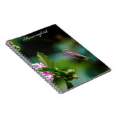 Carnet Colibri à gorge rubis - Photo originale (Côté Droit)