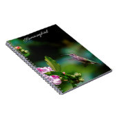 Carnet Colibri à gorge rubis - Photo originale (Côté Droit)