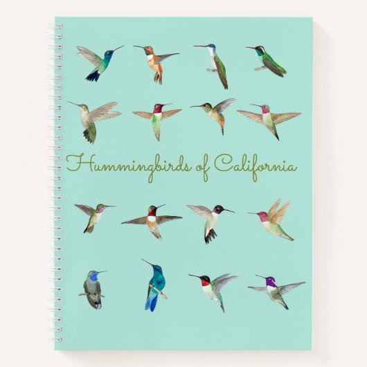 Carnet Colibri de Californie (Devant)