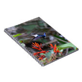 Carnet Colibri en vol et fleurs rouges (Côté Droit)