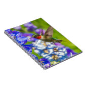 Carnet Colibri Et Delphinium (Côté Droit)
