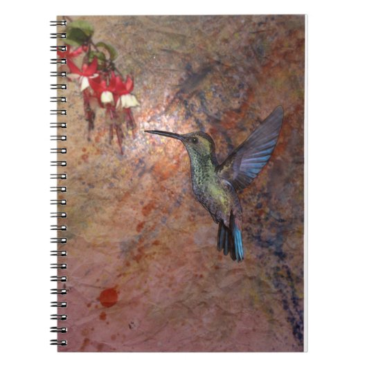 Carnet Colibri. Humingbird. (Devant)