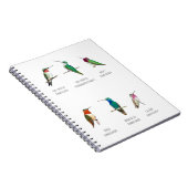 Carnet Colibri nord-américain (Côté Droit)