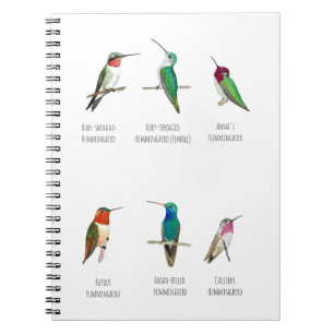 Carnet Colibri nord-américain