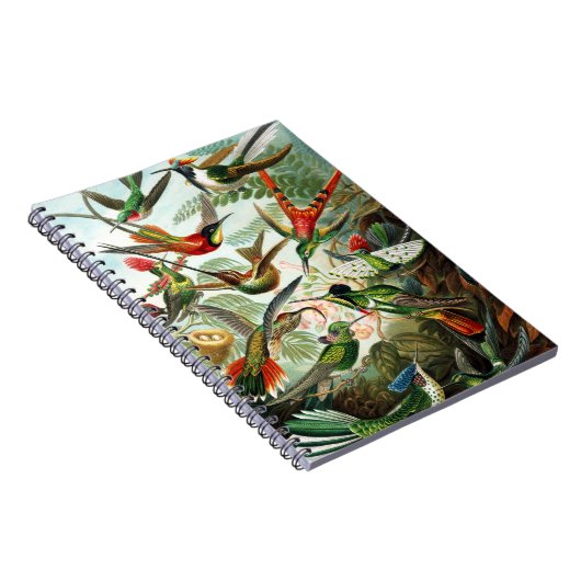 Carnet Colibri par Ernst Haeckel (Côté Droit)