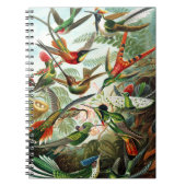 Carnet Colibri par Ernst Haeckel (Devant)