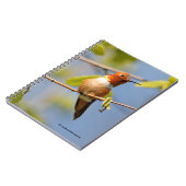 Carnet Colibri roux mâle au soleil d'été (Côté gauche)