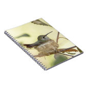 Carnet Colibri sur son nid (Côté Droit)