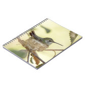 Carnet Colibri sur son nid (Côté gauche)