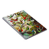 Carnet Colibri vintage par Ernst Haeckel (Côté Droit)