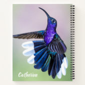Carnet Colibri violet avec de belles plumes sur mesure (Dos)