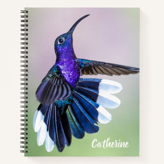 Carnet Colibri violet avec de belles plumes sur mesure (Devant)