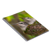 Carnet Colibris bébé (Côté Droit)