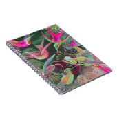 Carnet Colibris vintage Haeckel (Côté Droit)