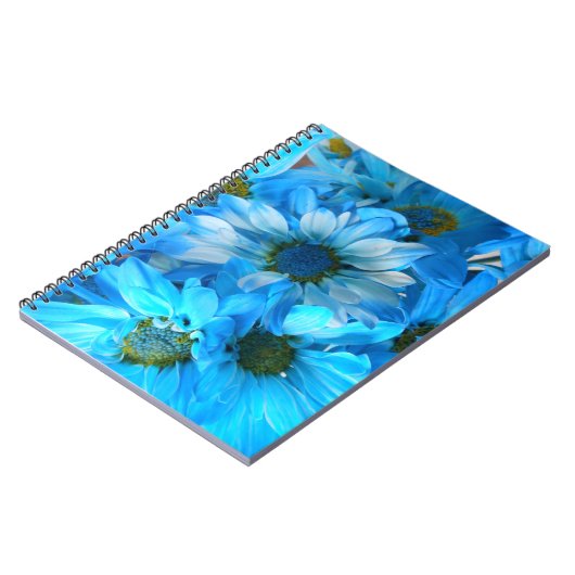 Carnet Collaert (Côté gauche)