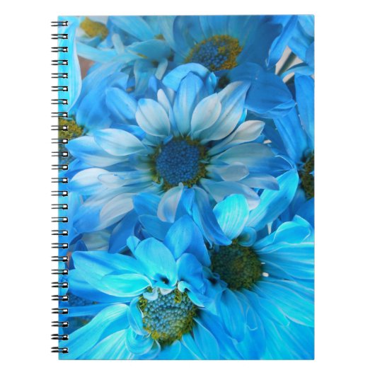 Carnet Collaert (Devant)