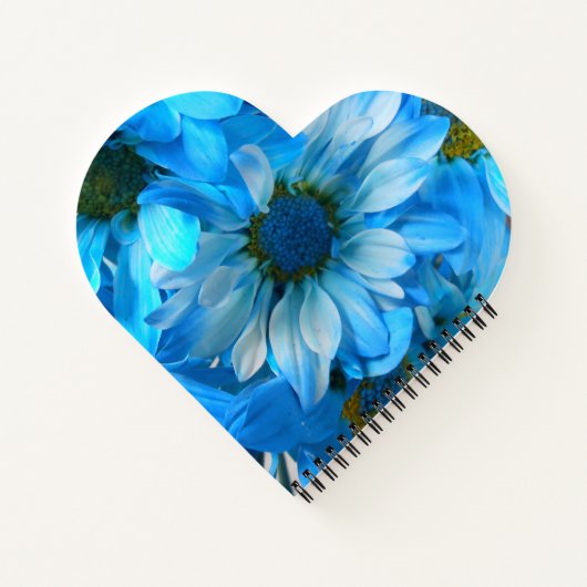 Carnet Collaert (Dos)