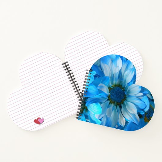 Carnet Collaert (Intérieur)