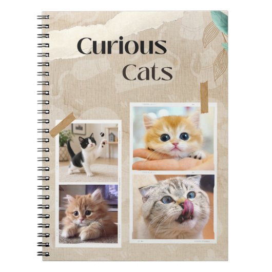 Carnet Collage de chats curieux (Devant)