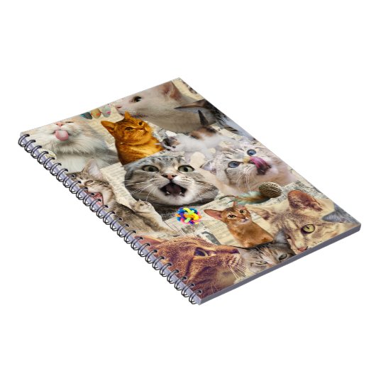 Carnet Collage de chats et de jouets (Côté Droit)