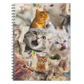 Carnet Collage de chats et de jouets (Devant)
