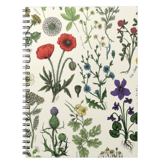 Carnet Collage de fleurs sauvages (Devant)