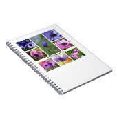 Carnet Collage de photos d'anémone pour penser à vous (Côté Droit)