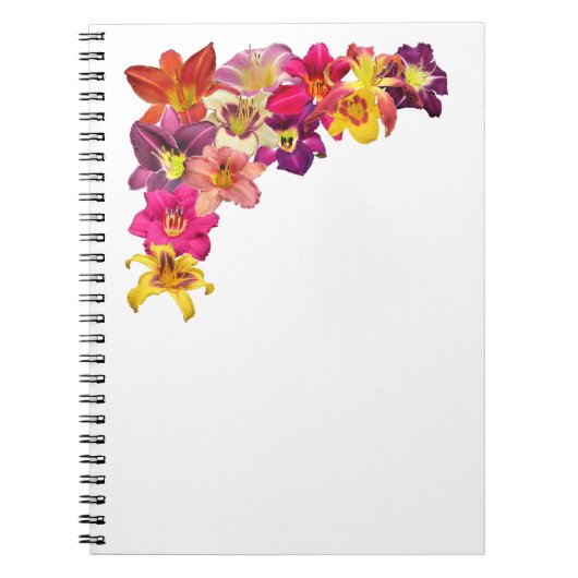 Carnet Collage faisant le coin de Daylily (Devant)