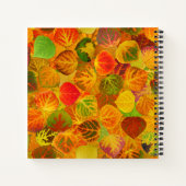 Carnet Collage Feuille en peuplier massif transparent 1 (Dos)