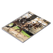 Carnet Collage multimédia mixte de l'équipe de deux cheva (Côté gauche)