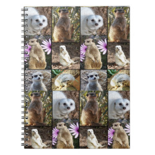 Carnet Collage photo de Meerkat,