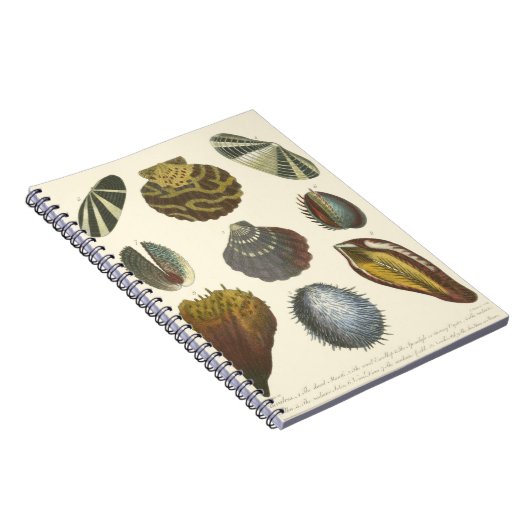 Carnet Collection Conchology (Côté Droit)