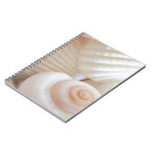 Carnet Collection de coquillages d'été ensoleillés (Côté gauche)
