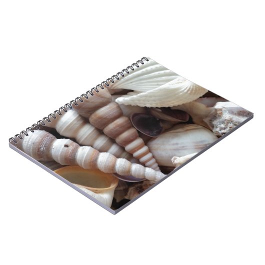 Carnet Collection de coquillages exotiques, plage d'été (Côté gauche)