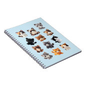 Carnet Collection de jouets peluche pour chat (Côté Droit)