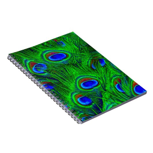 Carnet Collection de mode Peacock Feathes (Côté Droit)