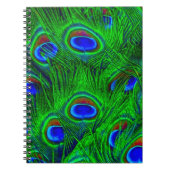 Carnet Collection de mode Peacock Feathes (Devant)