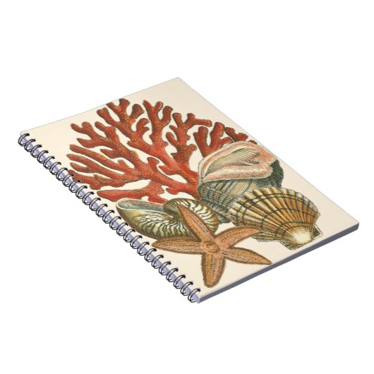 Carnet Collection de vies marines (Côté Droit)