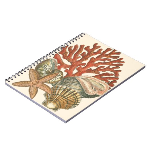 Carnet Collection de vies marines (Côté gauche)