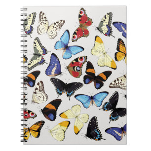 Carnet Collection réaliste de papillons vintages.