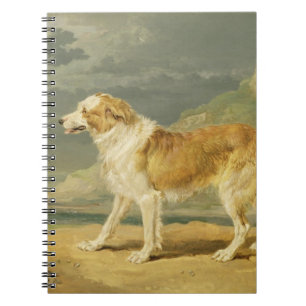 Carnet colley Rugueux-enduit, 1809 (huile à bord)