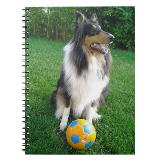 Carnet Collie (Devant)