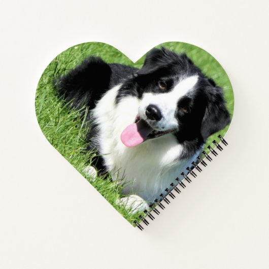 Carnet Collie frontière noire et blanche (Dos)