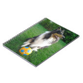 Carnet Collie Lassie tricolore (Côté gauche)