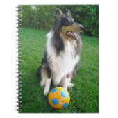 Carnet Collie Lassie tricolore (Devant)