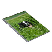 Carnet Collie noir et blanc en herbe (Côté Droit)