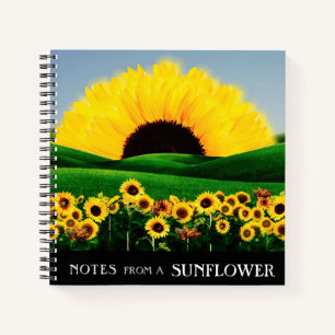 CARNET COLLINE DU SOL