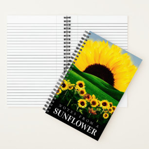 CARNET COLLINE DU SOL